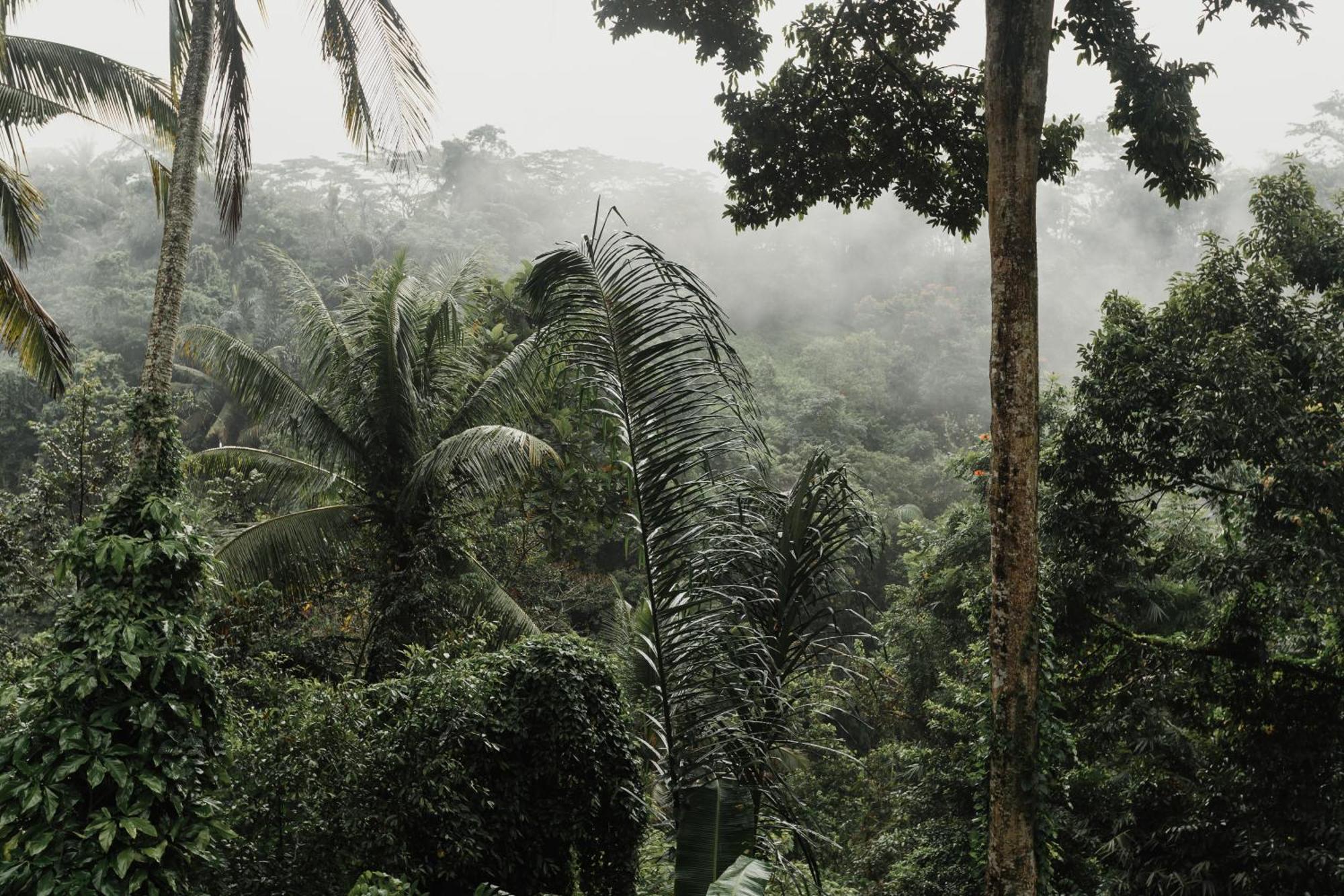 The Iyang Ubud Exteriér fotografie
